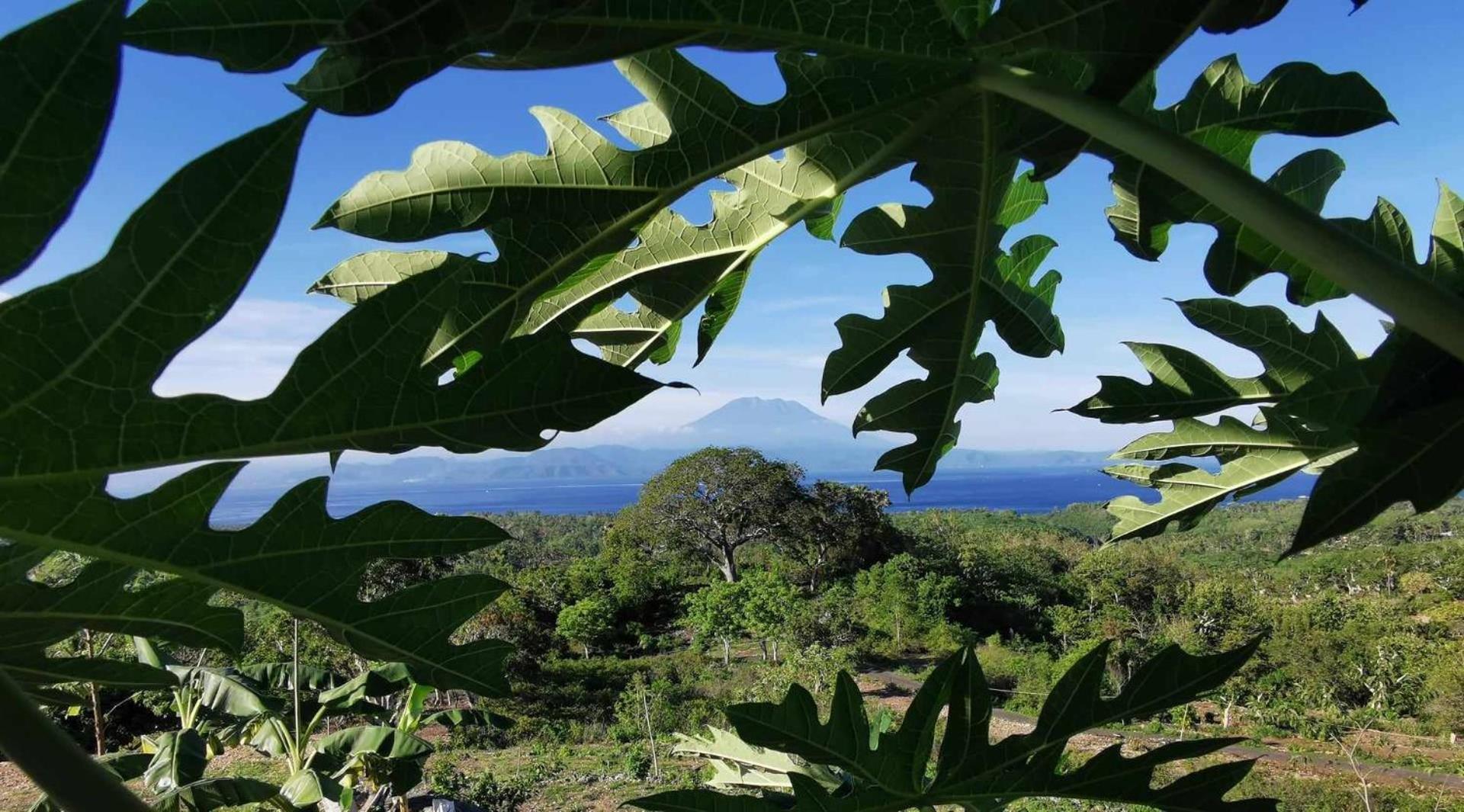 Eden Eco-Villas With Private Pool & Sea View - Adult Only Batumadeg Esterno foto